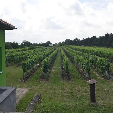 Penzion Ve Vinařství Maláník-osička