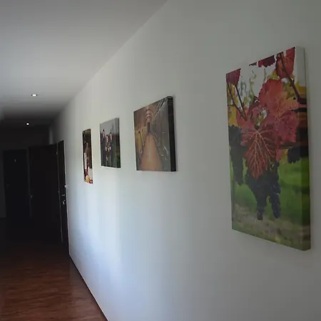 Penzion Ve Vinařství Maláník-osička